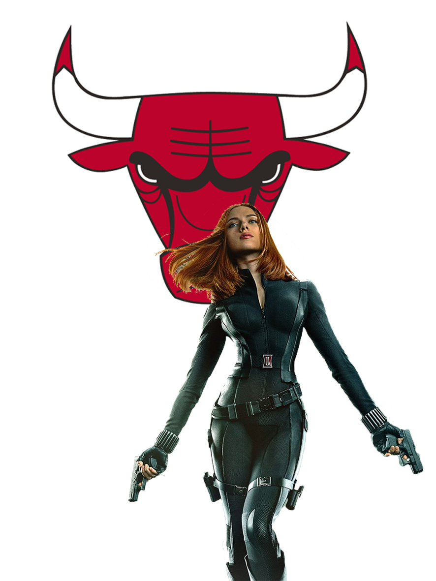 Chicago Bulls Black Widow Logo vinyl decal